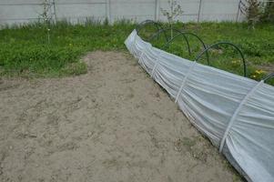 Greenhouse and greenhouse for planting vegetables in the village photo