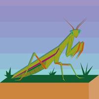 mantis on grass flat vector illustration