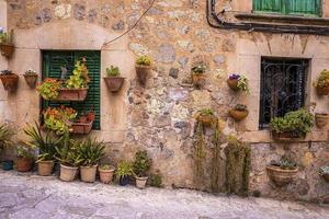 Potted plants decorated against closed windows of old house in historic town photo