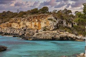 Scenic view of sea and trees on rocky cliffs against cloudy sky during sunset photo