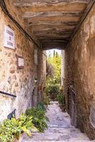 Covered alley with signs and potted plants amidst walls in old town photo