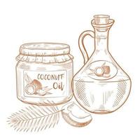 Bottles of coconut oil.  Cooking and beauty ingredients. Glass pitcher and jar, coconut nut, palm leaves Vector Hand drawn illustration for menu, banner, label, logo.