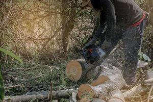 Worker using chainsaw for cutting down the tree. Deforestation, forest cutting concept. photo