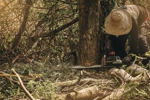 Worker using chainsaw for cutting down the tree. Deforestation, forest cutting concept. photo