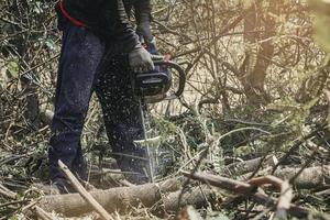 Worker using chainsaw for cutting down the tree. Deforestation, forest cutting concept. photo