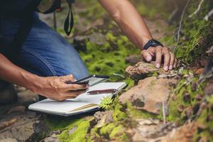 Biologist or botanist recording information about small tropical plants in forest. The concept of hiking to study and research botanical gardens by searching for information. photo