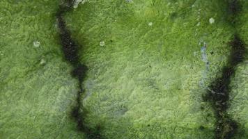 Old concrete mossy wall surface texture. photo