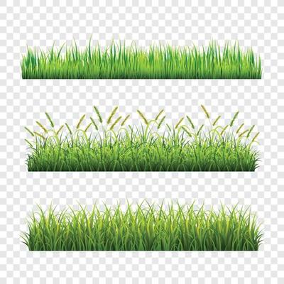 Green Grass Template Set