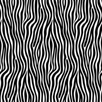 Zebra Animal Motif Vector Seamless Pattern