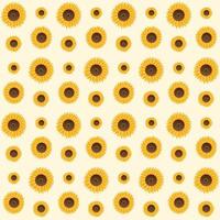 Sunflowers Vector Seamless Pattern