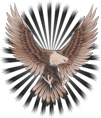 Creative Flying American Bald eagle Vector art illustration graphic design