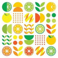 Abstract artwork of orange fruit symbol icon. Simple vector art, geometric illustration of colorful citruses, lemons, lemonade, limes and leaves. Minimalist citrus flat design on white background.