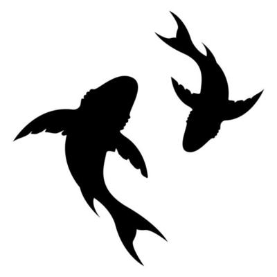 Couple sharks silhouette top view isolated white background