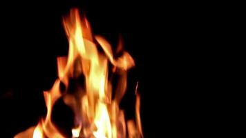 Fire flames on a black background. Abstract fiery texture. Realistic fire flames burn movement frame. Texture of fire for Design. video