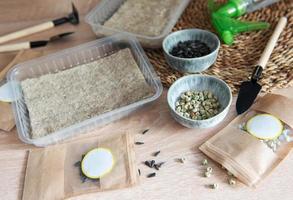 Microgreen seeds in paper bags and equipment for sowing microgreens. photo