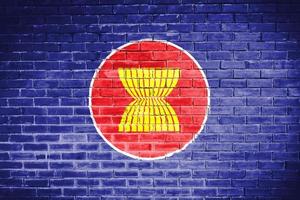 asean flag wall texture background photo