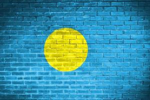 palau flag wall texture background photo