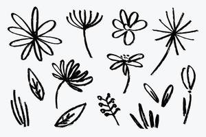 Vector set of flower free hand drawing brush