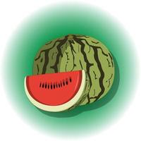 Fresh Watermelon Real Illustration Vector