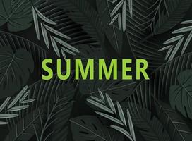 summer abstract background with leaf vector