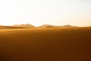 Beautiful sand dunes in the Sahara Desert in Morocco. Landscape in Africa in desert. photo