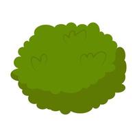 arbusto verde de primavera de dibujos animados aislado sobre fondo blanco. ilustración vectorial plana vector