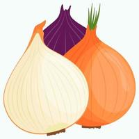 Whole onion isolated on background. Flat vector illustration.