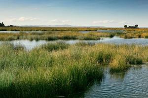 Lake Titicaca is the largest lake in South America and the highest navigable lake in the world. photo