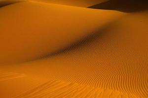 Beautiful sand dunes in the Sahara Desert in Morocco. Landscape in Africa in desert. photo