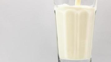 verser le lait dans un verre rotatif sur fond blanc. video