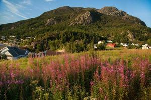 Colorful mountain scenes in Norway. Beautiful landscape of Norway, Scandinavia. Norway mountain landscape. Nature in summer. photo