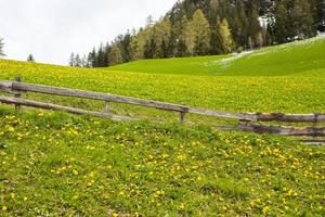 hermosos paisajes de montaña en los Alpes foto