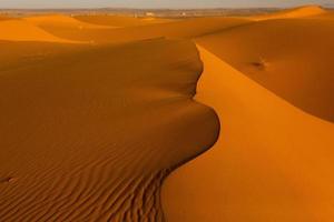 Beautiful sand dunes in the Sahara Desert in Morocco. Landscape in Africa in desert. photo