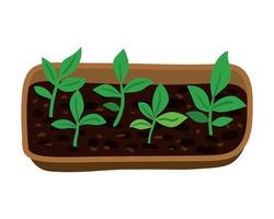 Illustration of Container with Green Seedlings with Leaves vector