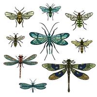 Set of Different Flying Insects vector