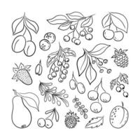 LARGE SET OF BLACK SILHOUETTES OF BERRIES AND FRUITS ON A WHITE BACKGROUND IN VECTOR