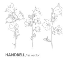 SET OF VECTOR BLOOMING HANDBELLS ISOLATED ON A WHITE BACKGROUND