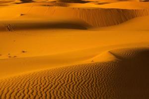 hermosas dunas de arena en el desierto del sahara en marruecos. paisaje en África en el desierto. foto