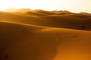 Beautiful sand dunes in the Sahara Desert in Morocco. Landscape in Africa in desert. photo