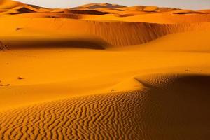 Beautiful sand dunes in the Sahara Desert in Morocco. Landscape in Africa in desert. photo