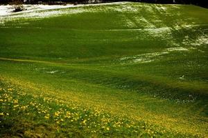 Beautiful mountain scenery in the Alps photo