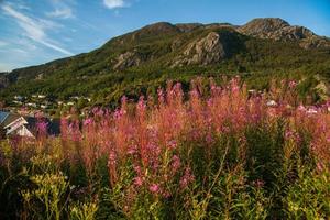 Colorful mountain scenes in Norway. Beautiful landscape of Norway, Scandinavia. Norway mountain landscape. Nature in summer. photo