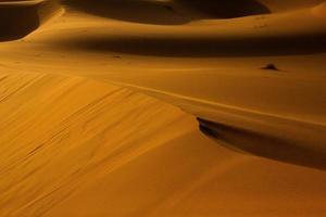 Beautiful sand dunes in the Sahara Desert in Morocco. Landscape in Africa in desert. photo