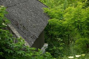 The village of Stroiesti is a very picturesque rural town in the Republic of Moldova, located on the banks of the Dniester River photo