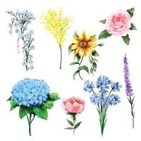Set of wild flower watercolor style on white background.