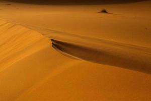 hermosas dunas de arena en el desierto del sahara en marruecos. paisaje en África en el desierto. foto