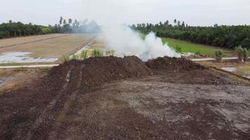 öppen brinnande vid risfält video