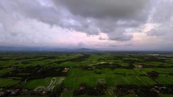 Aerial view dark cloudy day over rural paddy field at Kuala Kurau video