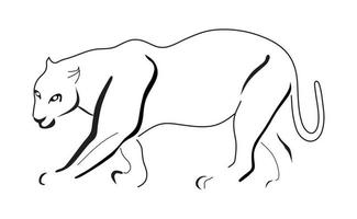 Panther coloring book vector