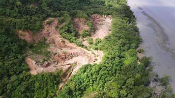 Aerial view forest is cleared near coastal video